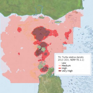 Green Turtle Relative Distribution in Torres Strait (Preview map)